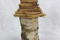mokaka_birke06c