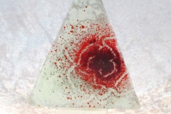 mokaka_glas_tanne05