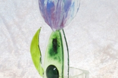 mokaka_blume03a