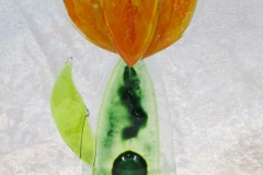mokaka_blume04
