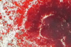 mokaka_glas_tanne05b